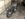 BECA3642-6DB0-47EB-B486-54C177B815EB.jpeg