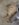 20180420_071856.jpg