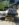 20180505_123424_Burst01.jpg