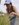EE12460B-A833-421D-B705-3CBB5F49AE74.jpeg