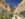 6C593E07-4EE8-4172-A81C-7622975CAB40.jpeg