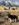 0D011D91-64BF-4EDE-BF76-F748F9434A97.jpeg