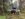 C8E1F2E8-ED31-4FF1-81EB-AC45141E1858.jpeg