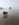 FFED83E7-7540-4E36-88C9-15D2B40DCBFF.jpeg