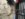 8BBE7B66-6EF2-4A0D-B04E-6558E648F324.jpeg