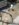 AC027337-427D-4B42-8A55-0A2E3835E0FC.jpeg