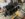 FB4BFD92-7E00-4266-B07C-721681ABFF02.jpeg