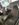 B9458B37-34F6-457D-908C-7AA3D32464DB.jpeg