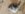 20180506_115455.jpg