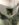 3F70D126-A23E-440A-BE98-00E273C8AD38.jpeg