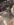E25BC995-2DD4-46FC-8601-13E5017737F0.jpeg