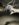 E2DA9C2C-3225-4704-B936-BAA045B5DE82.jpeg