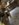 4C9C9312-F72C-4191-A858-A77BB63E09E4.jpeg