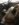 5218E456-BB77-4608-91A7-35793EAE913C.jpeg