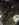 C9F2F620-F2AA-4DB6-AEB1-E962706DE278.jpeg