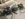 625B1441-717D-46AC-9D27-558737205CA3.jpeg