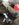 1743C15C-304A-4CE4-B10F-41B65D03F359.jpeg