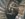 BC70170D-6640-4DCE-850A-8E9394637D17.jpeg