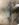 5781B69D-135E-47A2-8ED1-F51C4C347838.jpeg
