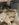 2C2AAEB4-ABBB-4A9F-B555-DF59B7975B2E.jpeg