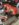 1C2499D8-FC1B-4A18-A62D-23B71AC4BBB0.jpeg
