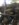 85C881C7-77A6-484B-8015-93E8651023F2.jpeg