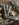 A09A3A40-C42F-4AF8-817B-8011A91BD76A.jpeg