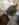 BA5030B1-A0A0-4DB7-9422-21C66FA959E3.jpeg