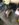 F3E53905-EDAC-49B9-9956-A99510C31997.jpeg