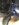 ADC015D7-74AC-4F8E-BFDE-62E63130BAD7.jpeg
