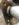 528FB38E-1BB0-41AE-BC90-7E5C72D1D4CC.jpeg