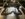 16DE55BB-F8D3-454A-BD89-2BCE9E6FBD4C.jpeg