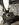12ADF0E4-AC23-4311-AFBB-0F5AF3FEBF26.jpeg