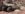 994BB8C4-0B61-4F0B-BEC4-7CBB41A8B47C.jpeg