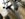 117FA17D-AFD3-4FE2-92BE-00EDCA6E1CC7.jpeg