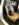 BC014157-53E4-4816-AA1B-DB9BF09B1675.jpeg