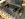 2DE4C099-4AA1-434D-A800-E86CD7DC2096.jpeg