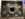 FBAC7BFF-D22C-4CA5-BC2C-137B2256E0A5.jpeg