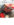 5E04AD52-ABCB-4583-926F-0357DE457A7F.jpeg