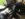 C370F4CA-D1EE-4315-A5F0-9AEB1EAB5AC3.jpeg