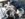 751D7ECF-861B-4A39-8618-5C878F1B6278.jpeg 751D7ECF-861B-4A39-8618-5C878F1B6278.jpeg
