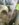 A9006491-053C-4BB3-AF48-85F2DB7666EF.jpeg