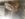 20180614_172906.jpg