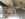 20180614_172855.jpg
