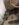 2BDD94F4-6579-4C77-8BEC-01CD29328B0A.jpeg