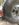 25D5BAC8-846B-44A8-BCB8-5D3CBCE8B735.jpeg