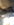 20180621_155520.jpg