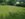20180621_154849.jpg