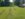 20180621_154829.jpg