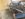 20180614_105220.jpg